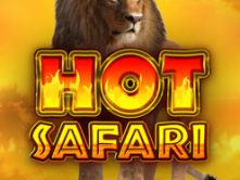 Hot Safari